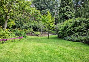 Optimiser l'expérience du jardin à Clairefougere